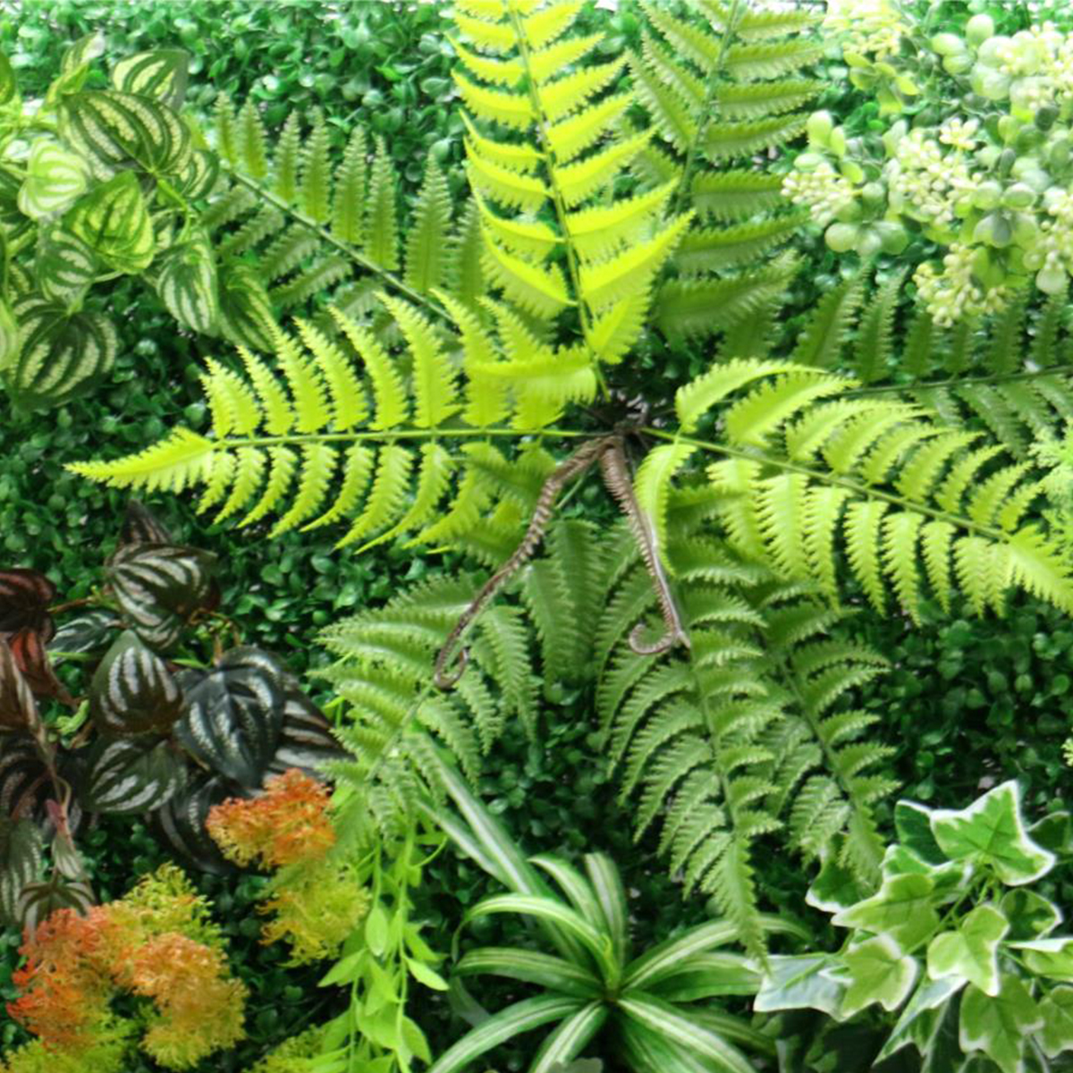 Artificial Plant Wall Plastic  - مراجعة Flower Wall Panel وسعره