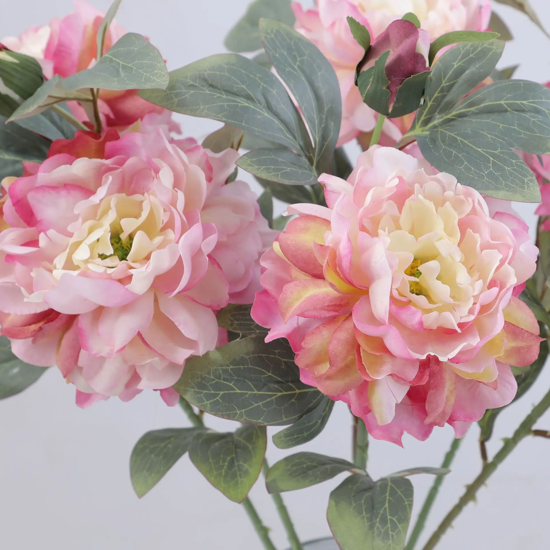 Artificial Peony Flower Single - مراجعة Flower Wall Panel وسعره