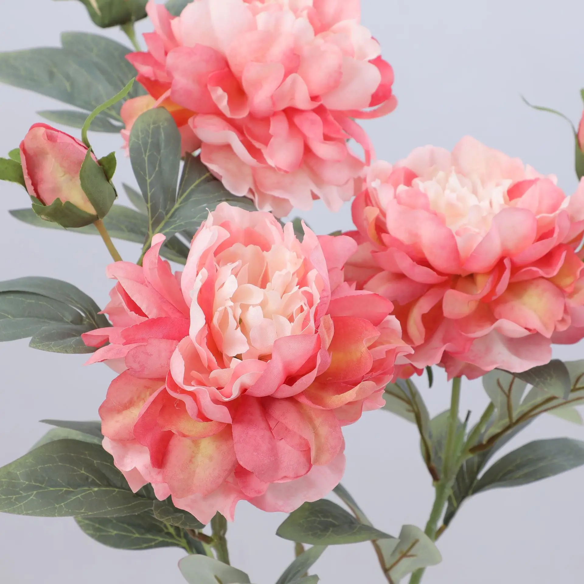 Artificial Peony Flower Single - مراجعة Flower Wall Panel وسعره