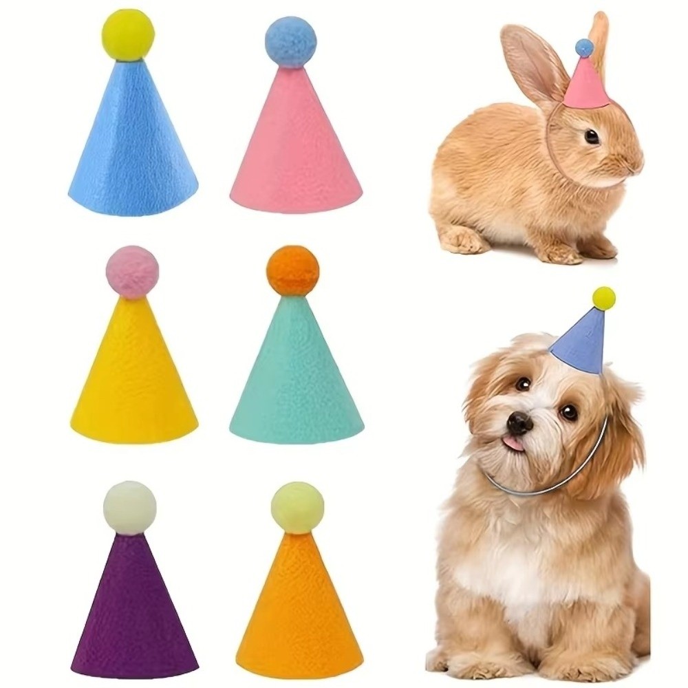 Reusable 6pcs Set Mini Party H - مراجعة Party Hat Cone وسعره