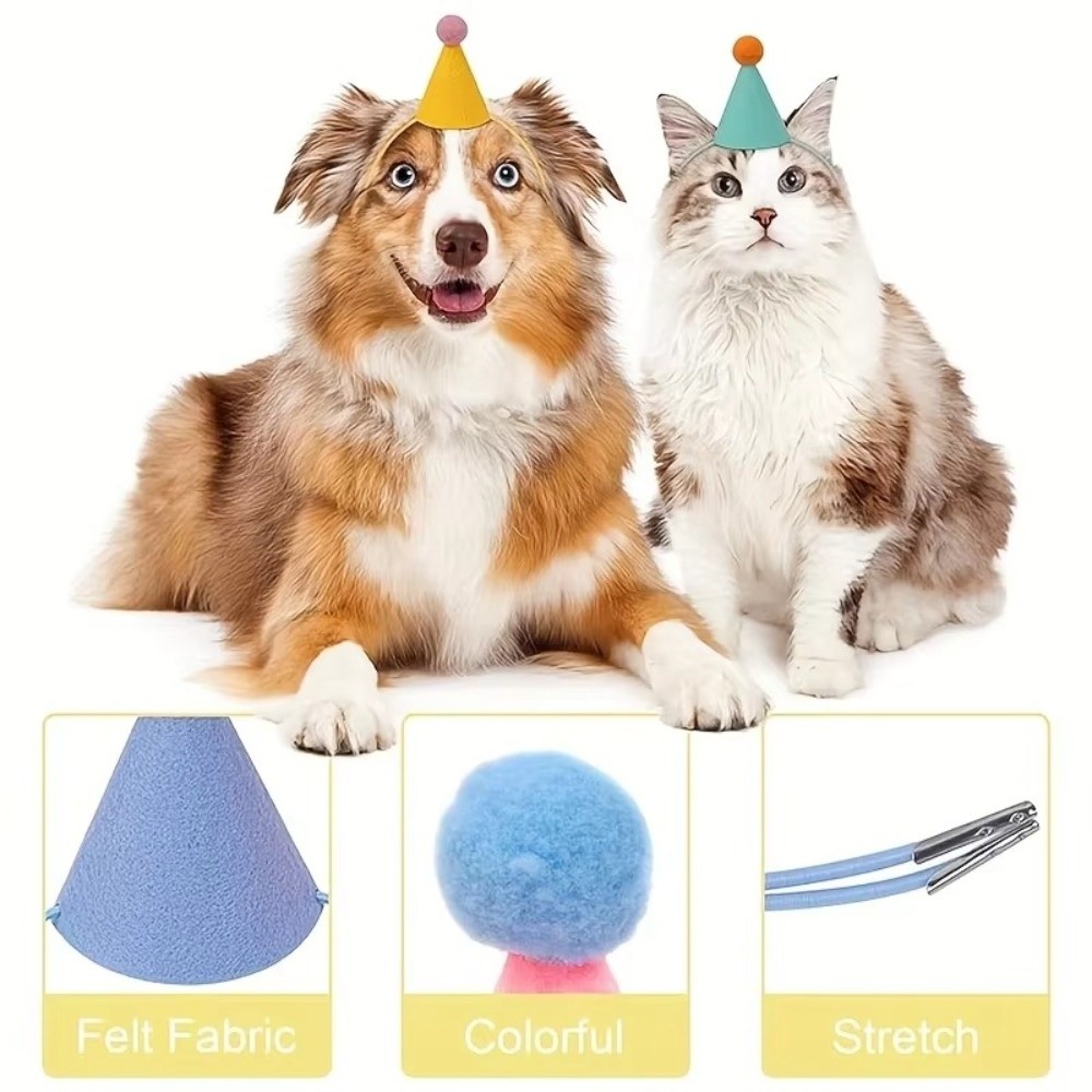 Reusable 6pcs Set Mini Party H - مراجعة Party Hat Cone وسعره